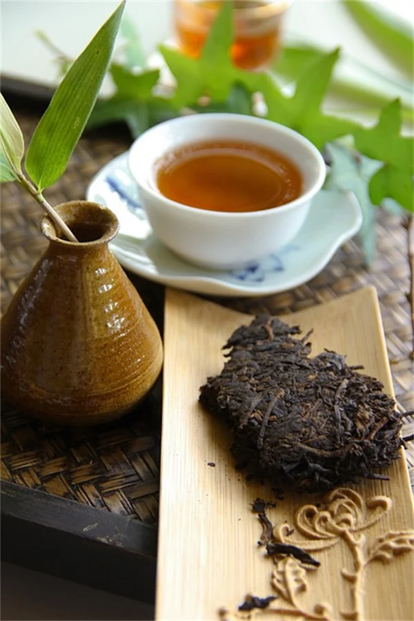 パーマカルチャーとオーガニック農業の決定的な違い：選ぶ前に知っておくべき本質