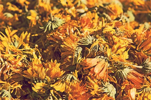 自宅で簡単！花のジャムの作り方とおすすめの花10選