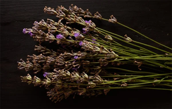 自宅で簡単！花のジャムの作り方とおすすめの花10選