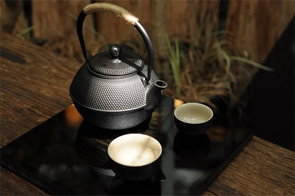 在来植物で庭づくり！失敗しない5つのポイント