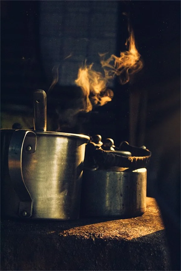 カリフォルニア在来種で失敗しない庭づくり：実際に試した5つのコツ