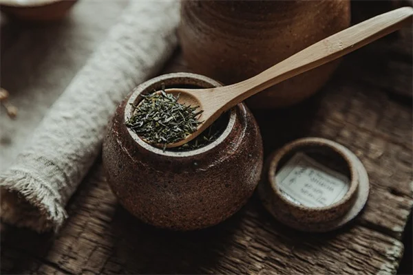 スーパーのキュウリの種を植えるとどうなる？やってみた結果を完全解説